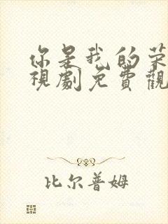 你是我的荣耀电视剧免费观看下载