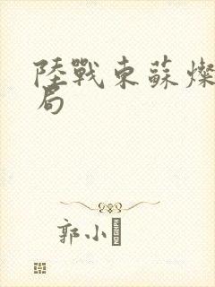 陆战东苏灿大结局封面