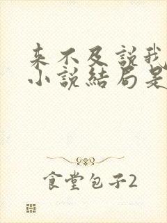 来不及说我爱你小说结局是什么封面