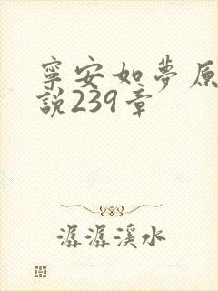 宁安如梦原著小说239章封面