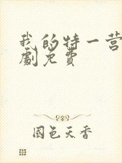 我的特一营电视剧免费封面