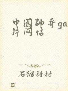 中国帅哥gay片网站