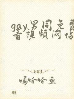 gay男同免费看视频网站入口