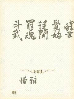 斗罗从觉醒朱雀武魂开始笔趣阁