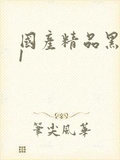 国产精品黑丝91封面