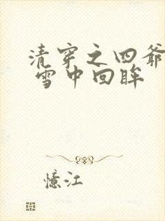 清穿之四爷宠妃 雪中回眸