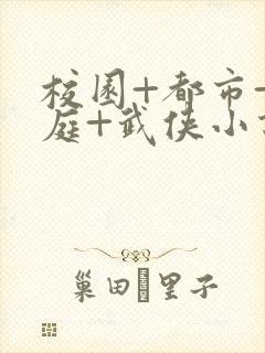 校园+都市+家庭+武侠小说