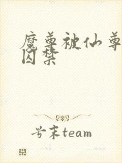 魔尊被仙尊抓了囚禁