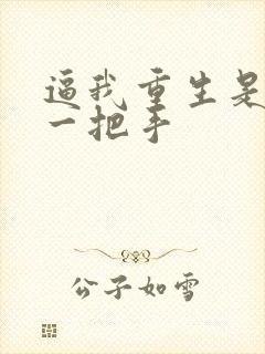 逼我重生是吧 一把手