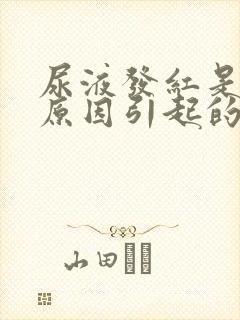 尿液发红是什么原因引起的女性