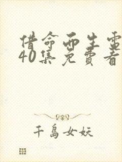 借命而生电视剧40集免费看封面