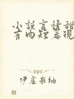 小说言情甜宠文有肉短篇现言