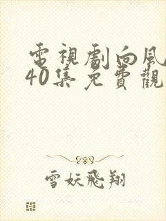 电视剧向风而行40集免费观看