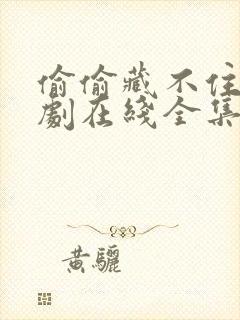 偷偷藏不住电视剧在线全集免费