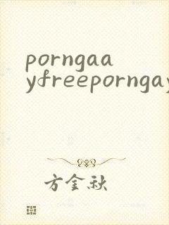 porngaayfreeporngayvideosboy