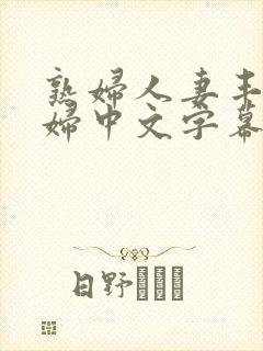 熟妇人妻丰满少妇中文字幕封面