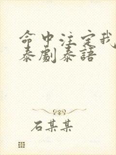 命中注定我爱你泰剧泰语封面