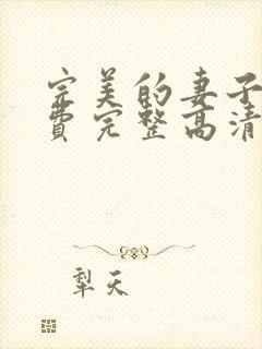 完美的妻子5免费完整高清韩剧