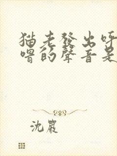 猫老发出呼噜呼噜的声音是为什么