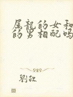 属龙的女和属鼠的男相配吗封面