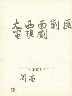 大西南剿匪记 电视剧