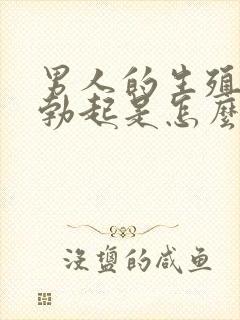 男人的生殖器不勃起是怎么回事