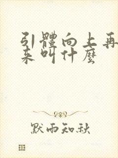 引体向上再撑起来叫什么