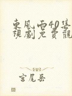 东风雨40集电视剧免费观看