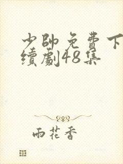 少帅免费下载连续剧48集