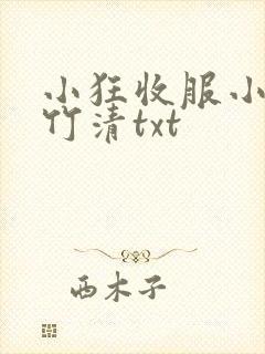 小狂收服小舞朱竹清txt