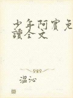 少年阿宾免费阅读全文