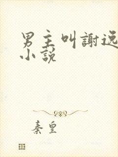 男主叫谢逸安的小说