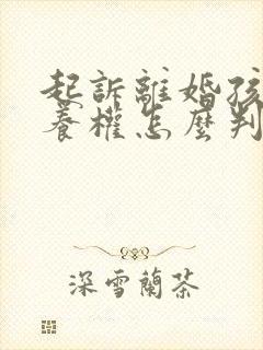 起诉离婚孩子抚养权怎么判决