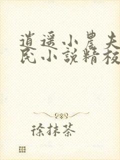 逍遥小农夫小农民小说精校版阅读封面