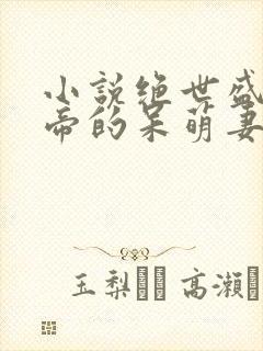 小说绝世盛宠黑帝的呆萌妻