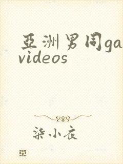 亚洲男同gayvideos