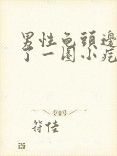 男性龟头边缘长了一圈小疙瘩