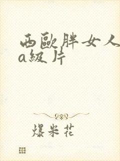 西欧胖女人拍的a级片