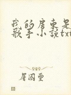 我的房东是偶像歌手小说txt