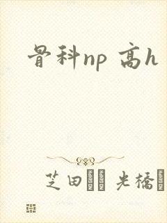 骨科np 高h