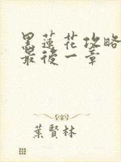 黑莲花攻略手册最后一章封面