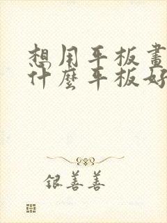 想用平板画画,什么平板好