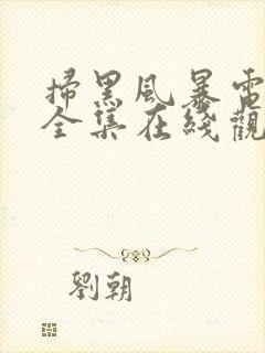 扫黑风暴电视剧全集在线观看免费