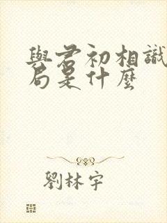 与君初相识大结局是什么