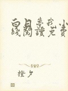 白日梦我小说在线阅读免费封面