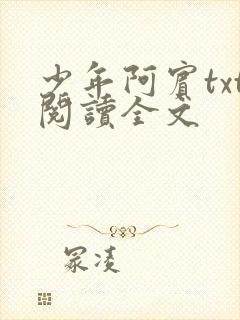 少年阿宾txt阅读全文