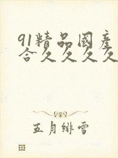 91精品国产综合久久久久久丝袜