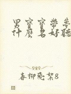 男宝宝带梦字起什么名好听封面