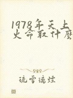 1978年天上火命取什么名字好