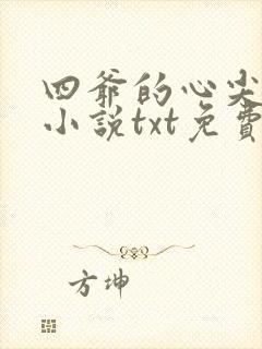四爷的心尖宠妃小说txt免费下载